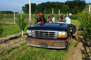Jamaican farm workers 10           